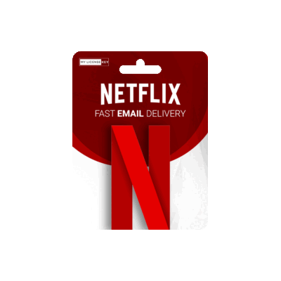 Netflix Premium 6 Month Subscription